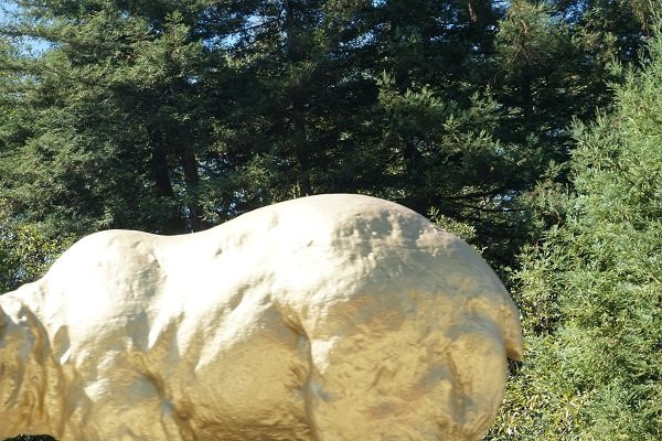 Klamath River-克拉马斯必去景点