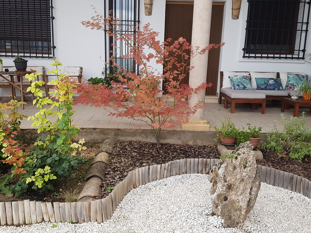 Insula Barataria主图