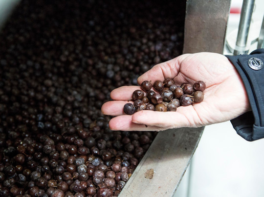 Orujos Panizo-Camarzana de Tera必去景点