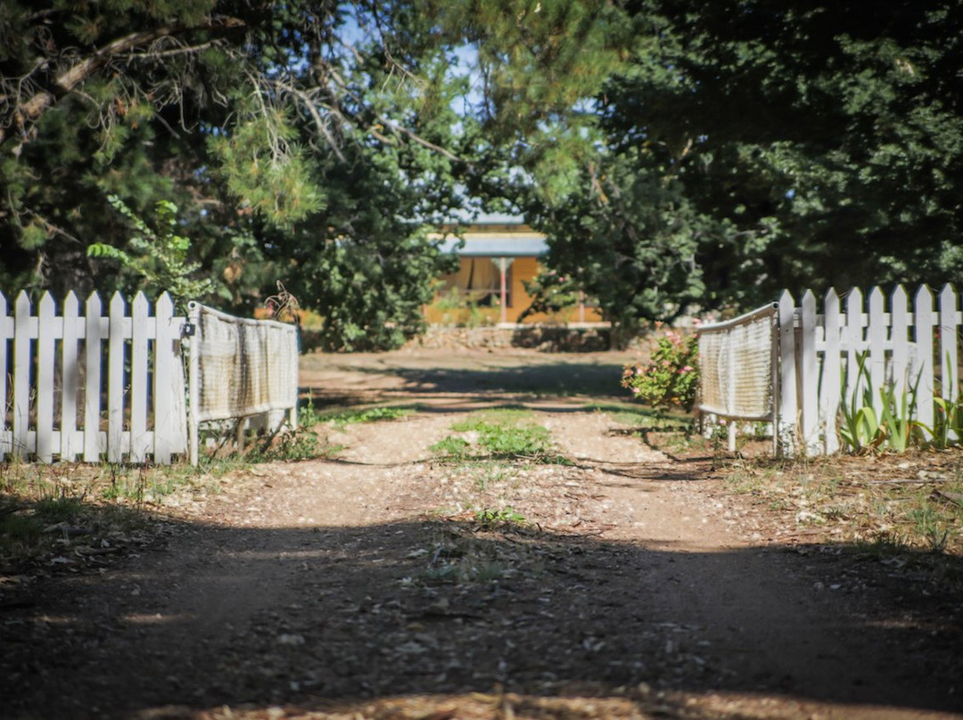 Munari Wines-Ladys Pass必去景点