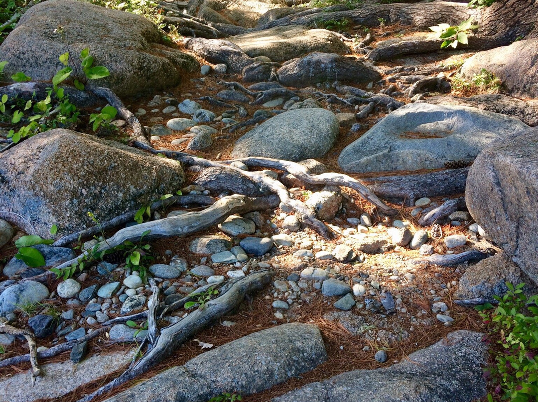 Pabineau Falls-Bathurst必去景点
