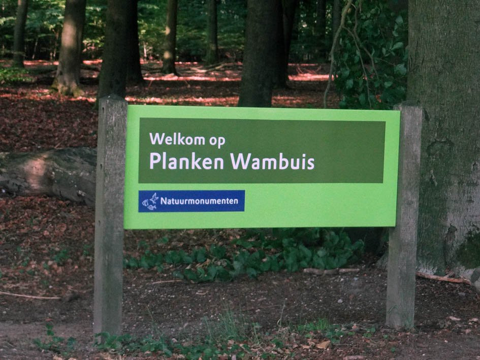 Planken Wambuis景点图片