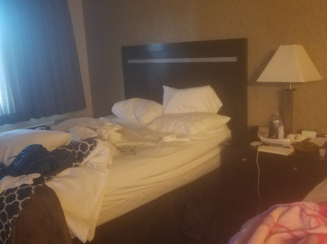 Best Western Plus Pleasanton Inn主图