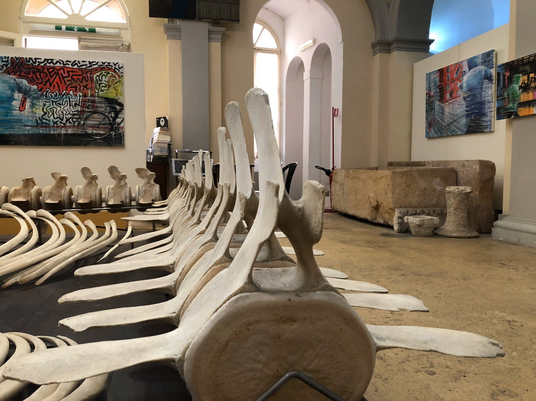 Museo Civico Emanuele Barba-加里波利必去景点