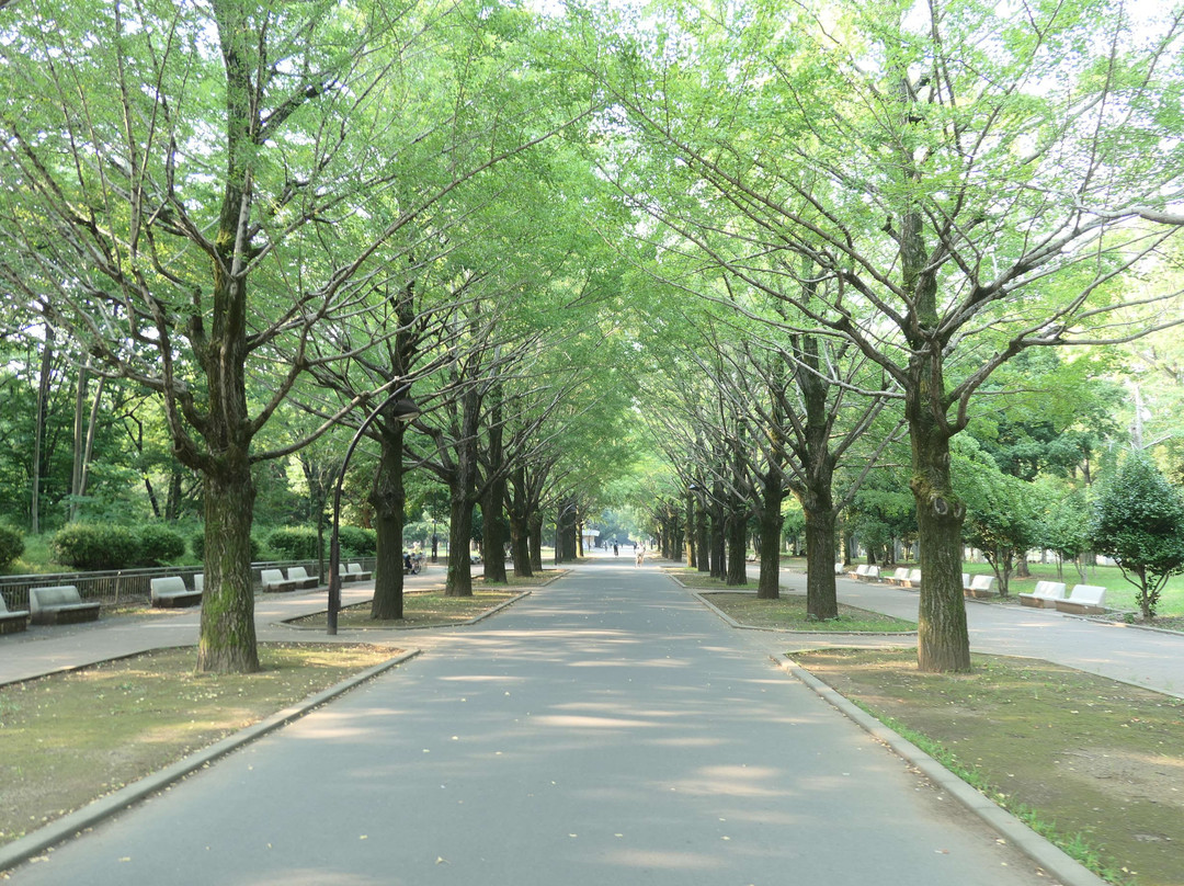 Hikarigaoka Park景点图片