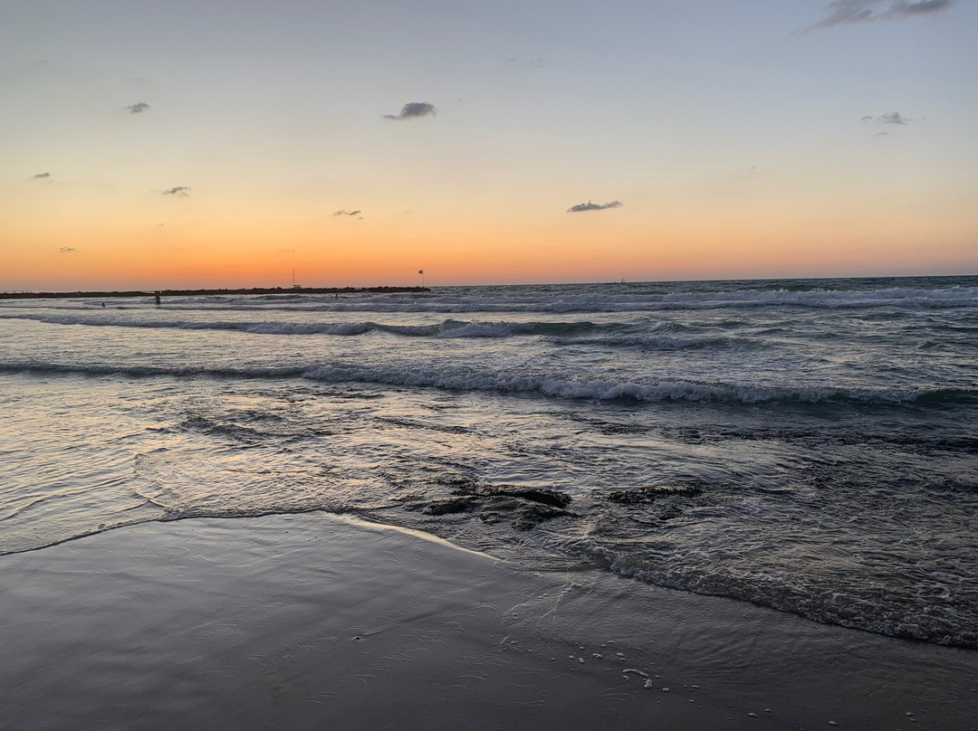 Independence Park-特拉维夫必去景点