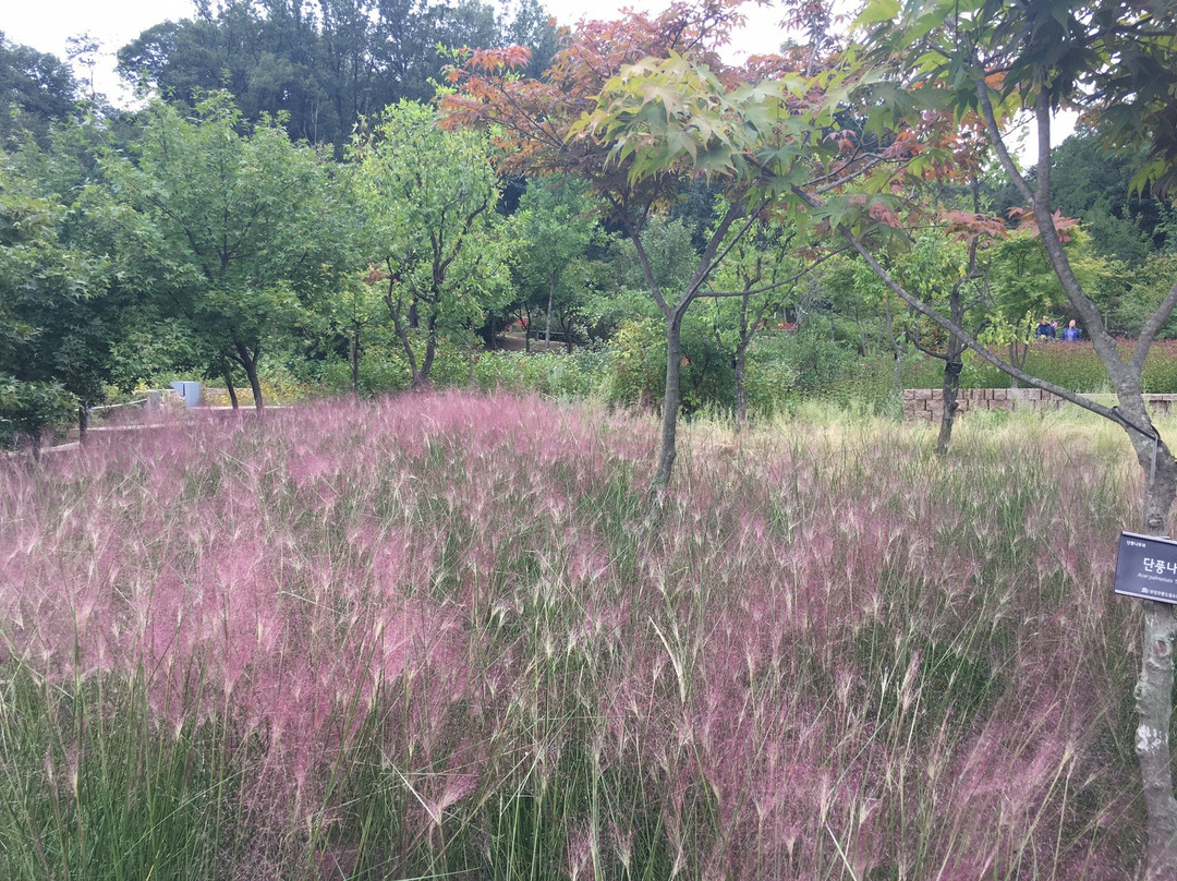 Bucheon Natural Ecological Park-富川市必去景点