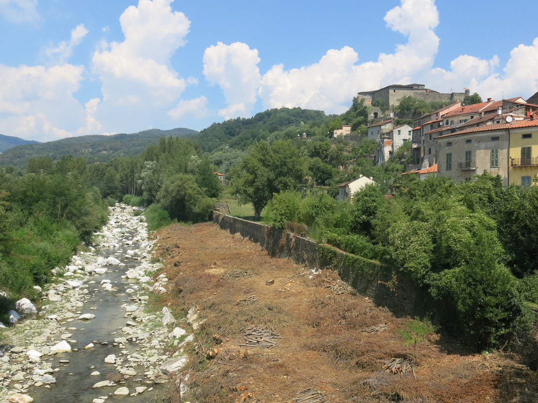 Ponte della Cresa景点图片