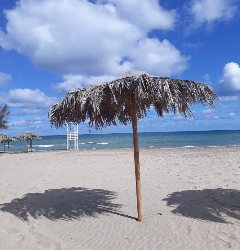 Lido San Benedetto-布林迪西必去景点