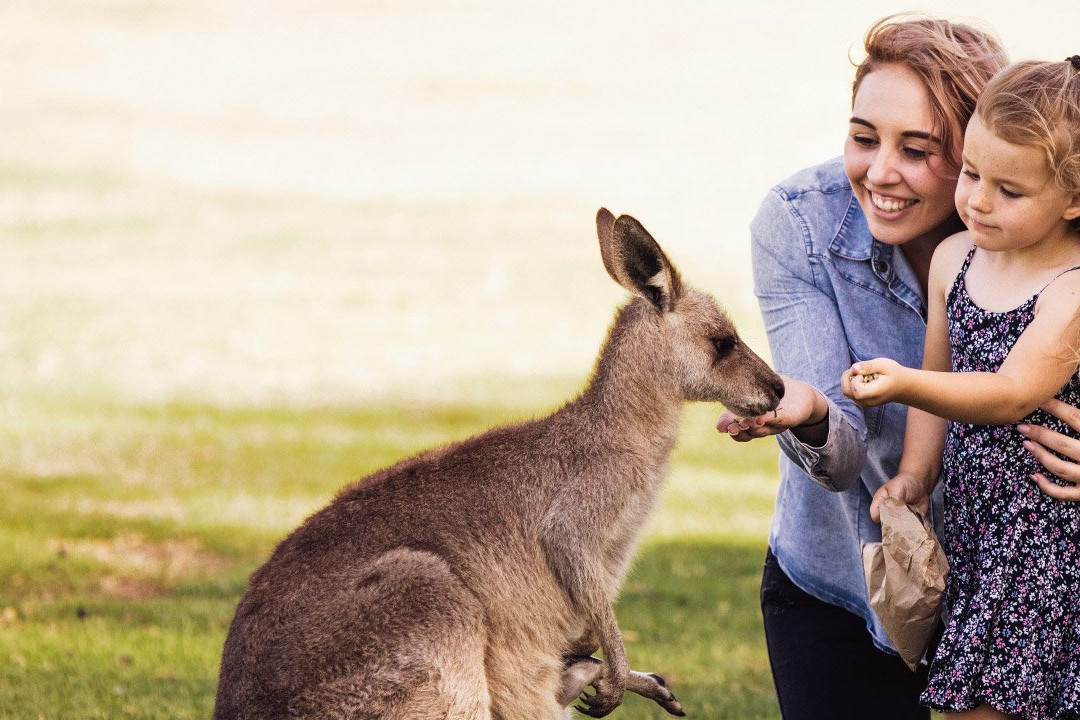 Bobs Farm旅游攻略图片