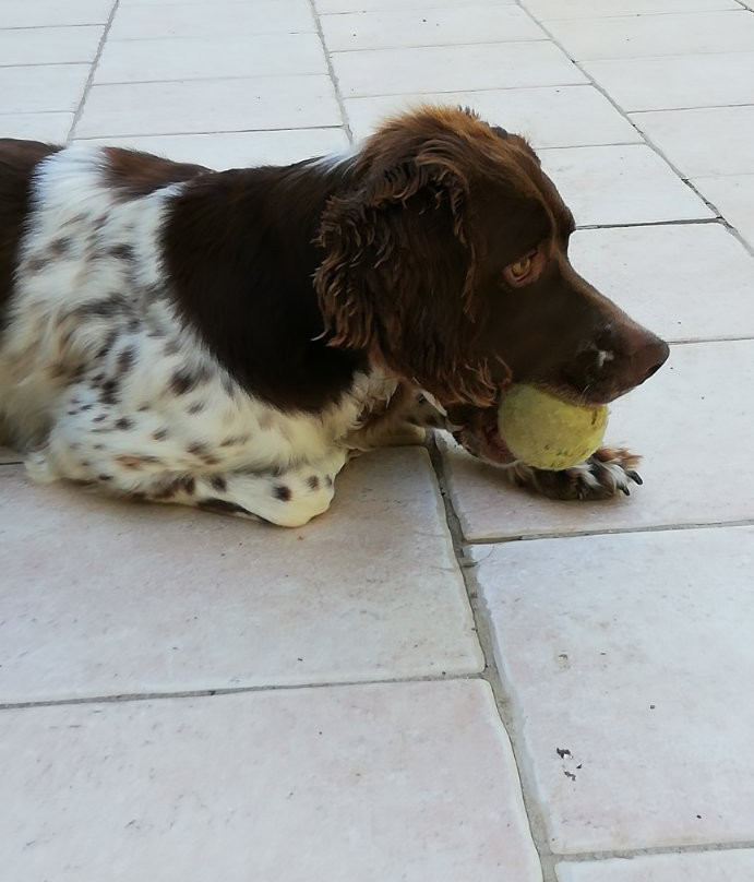 La Grande Dame主图