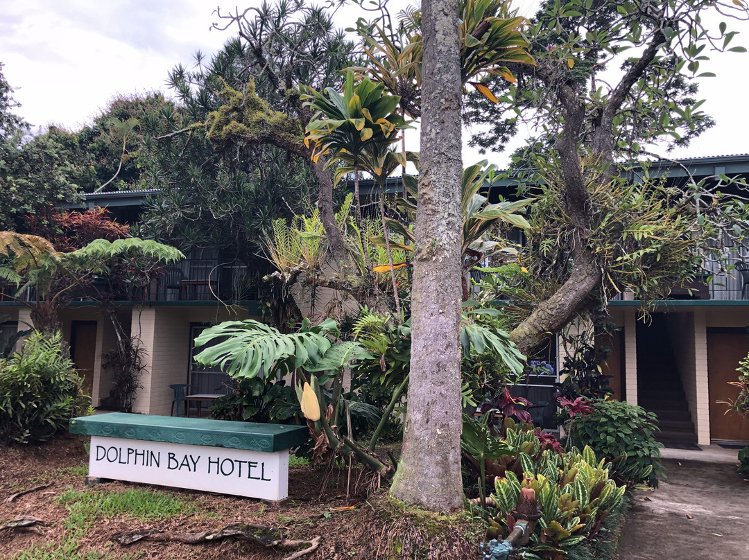 海豚湾酒店主图