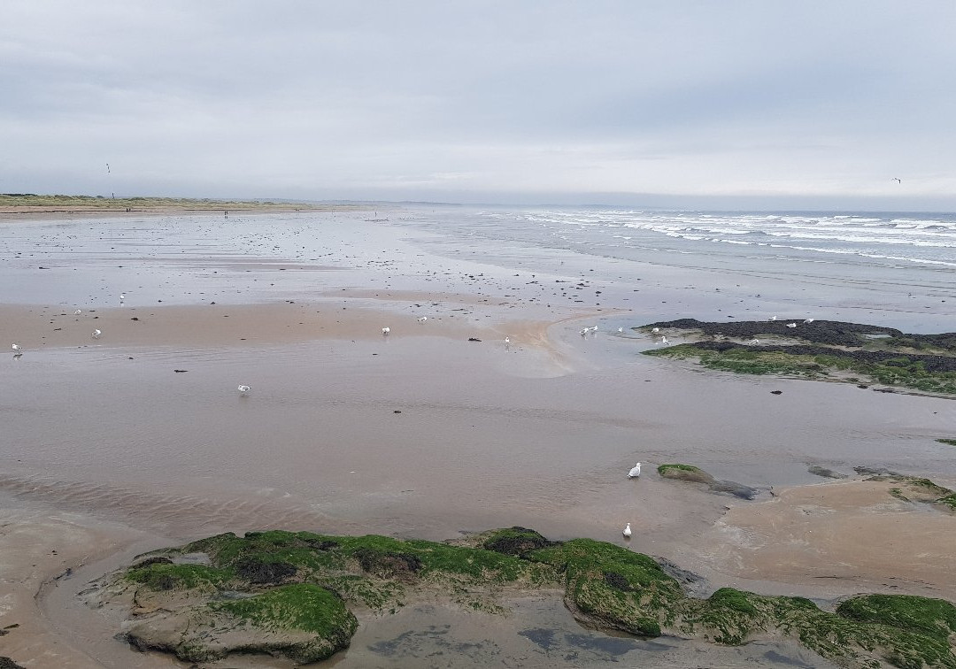 The Royal & Ancient Golf Club of St. Andrews-圣安德鲁斯必去景点