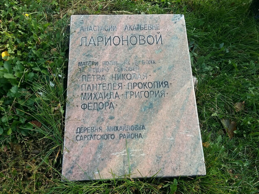 Monument A.A. Larionova-鄂木斯克必去景点