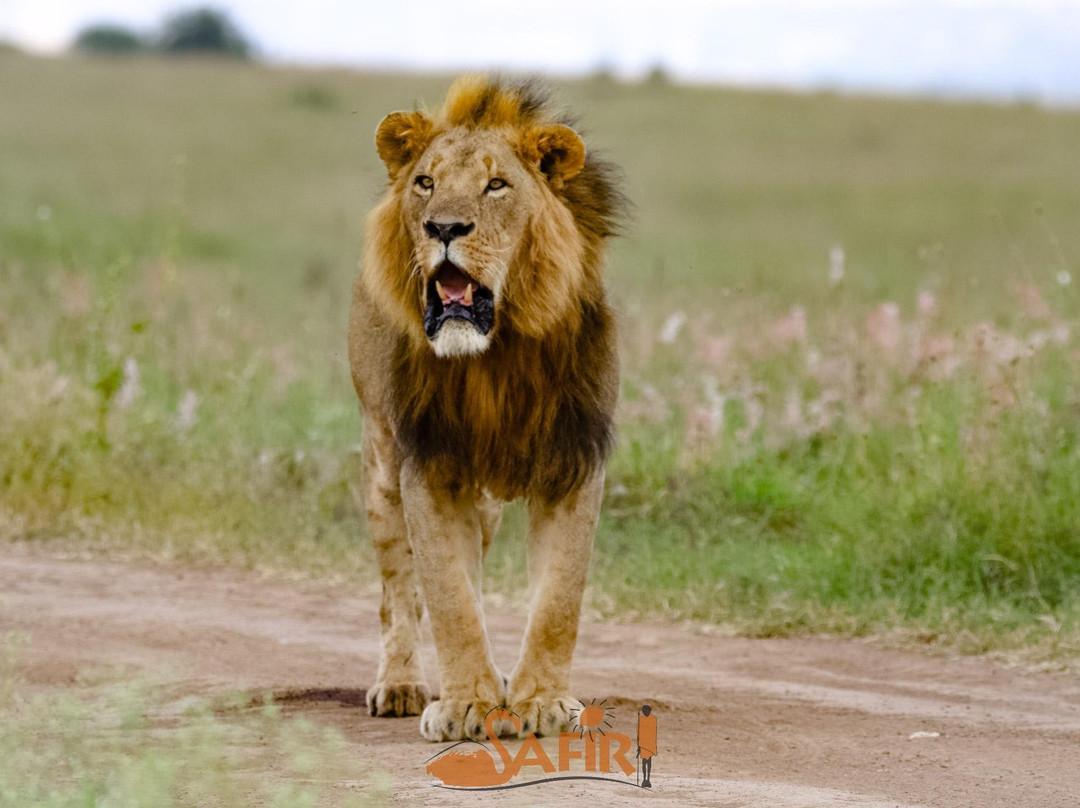 Luxing Warriors-内罗毕必去景点