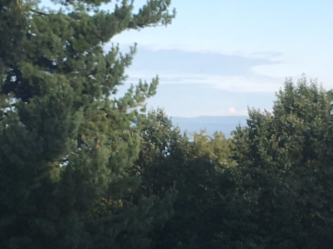 Blind Tiger Burlington主图