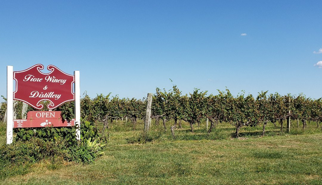 Fiore Winery-Pylesville必去景点