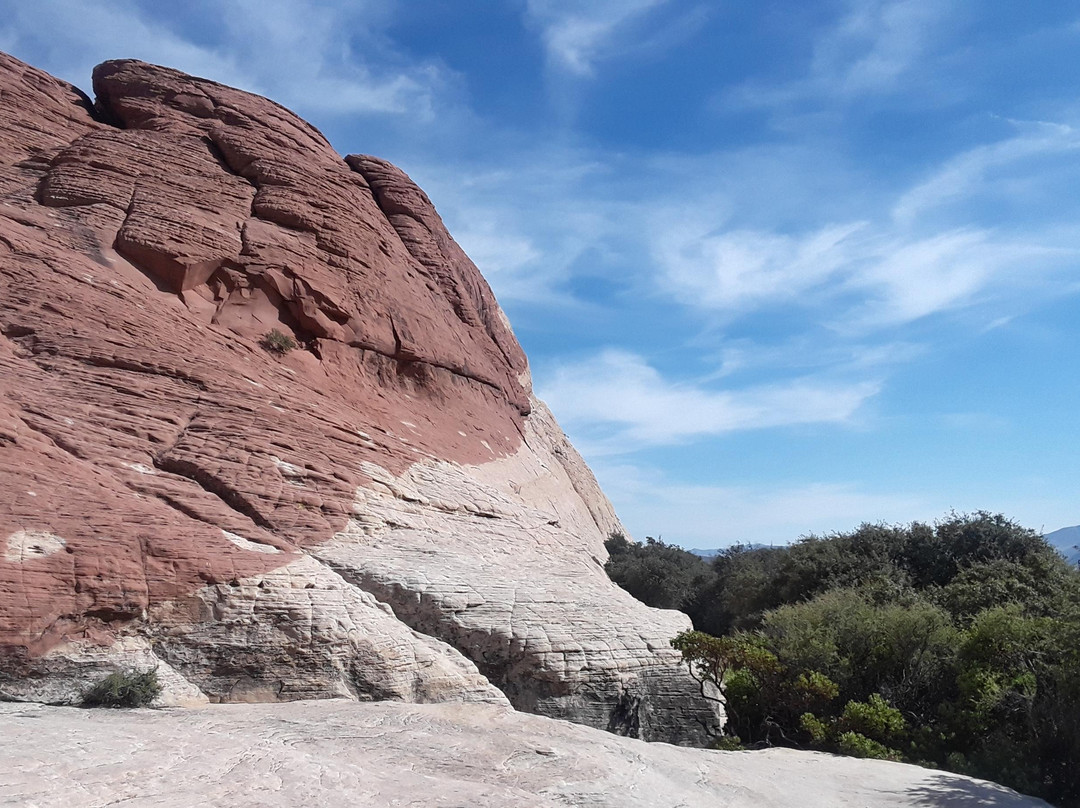 Las Vegas D-Tours-拉斯维加斯必去景点