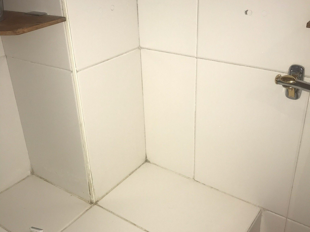 Arraigorri Landetxea主图