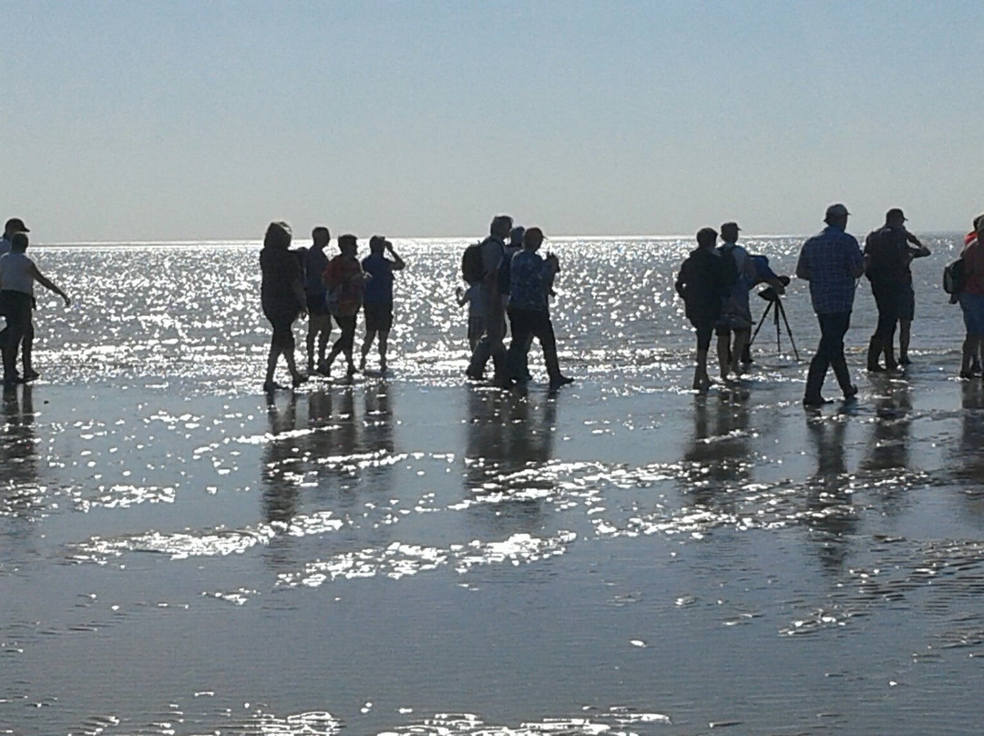 Rando Baie de Somme Découverte景点图片