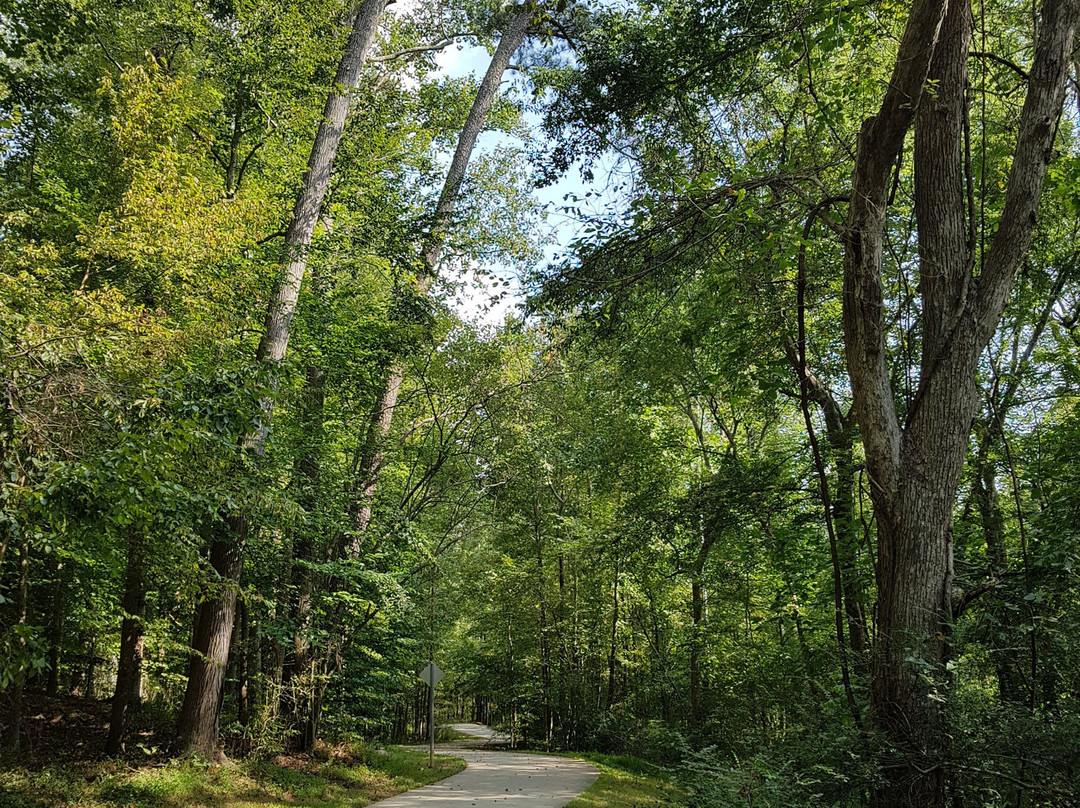Morgan Creek Trail-教堂山必去景点