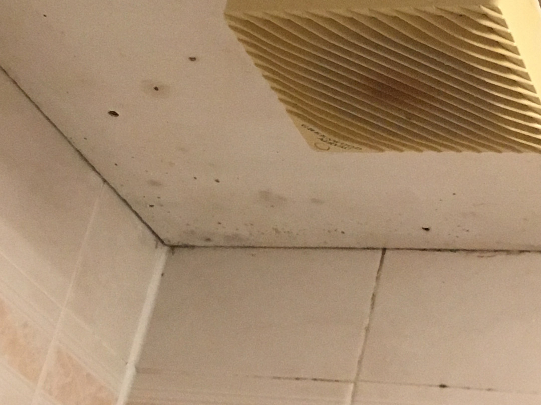 麦克唐纳德兰诺赫湖酒店&度假村主图