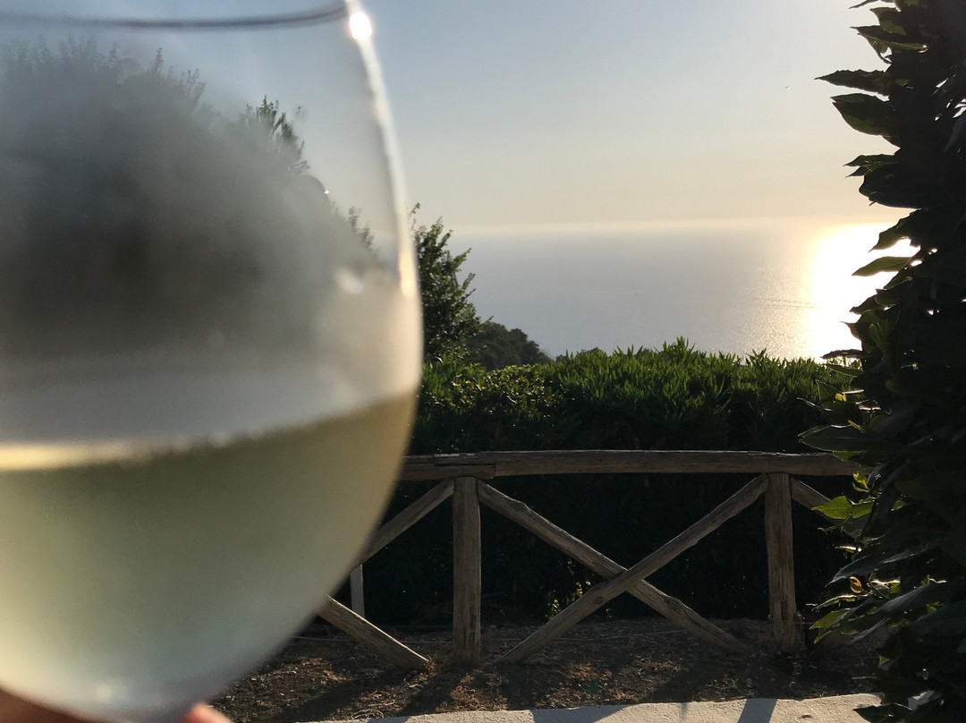 Gocce di Capri Hotel & Serviced Residence主图