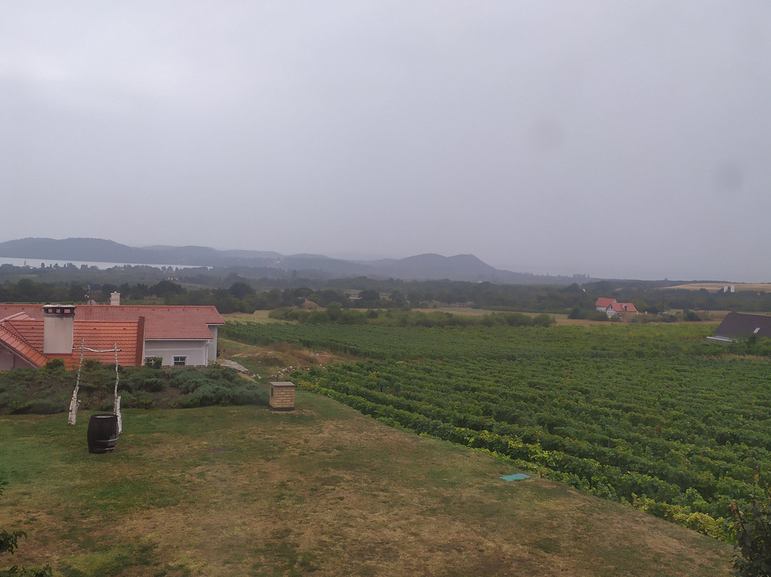 科佐尔酒厂旅馆