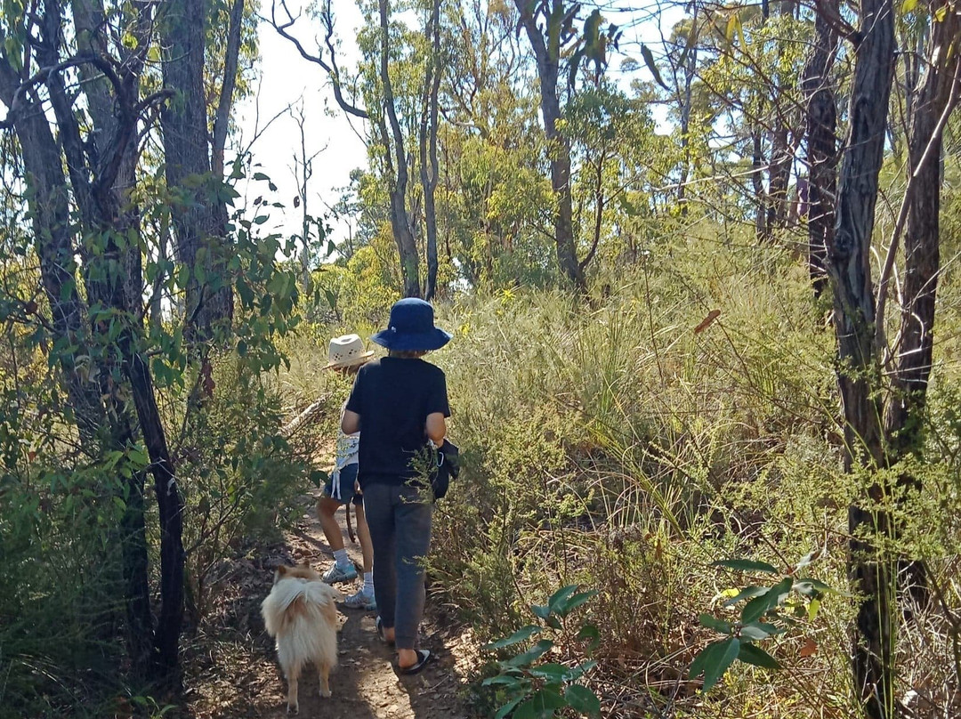 Jorgensen Park Walk Trail景点图片