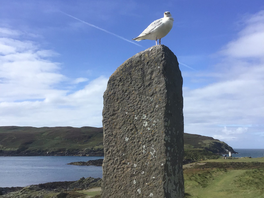 Calf of Man Bird Observatory and Nature Reserve-Douglas必去景点