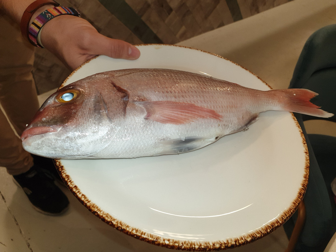 Bocinegro Taberna Marina