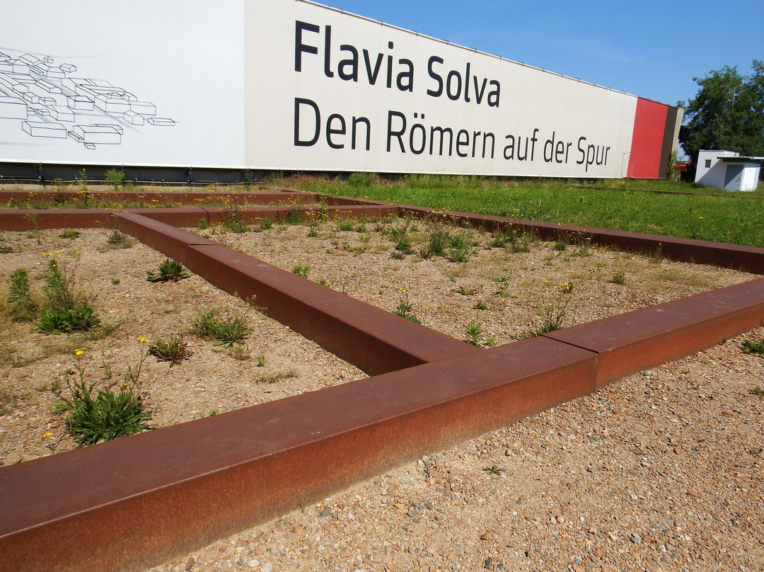 Flavia Solva