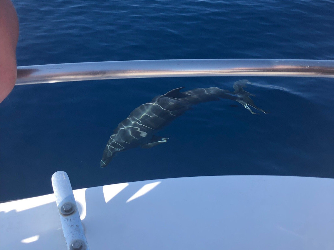 Sama Charter-班纳玛德纳必去景点