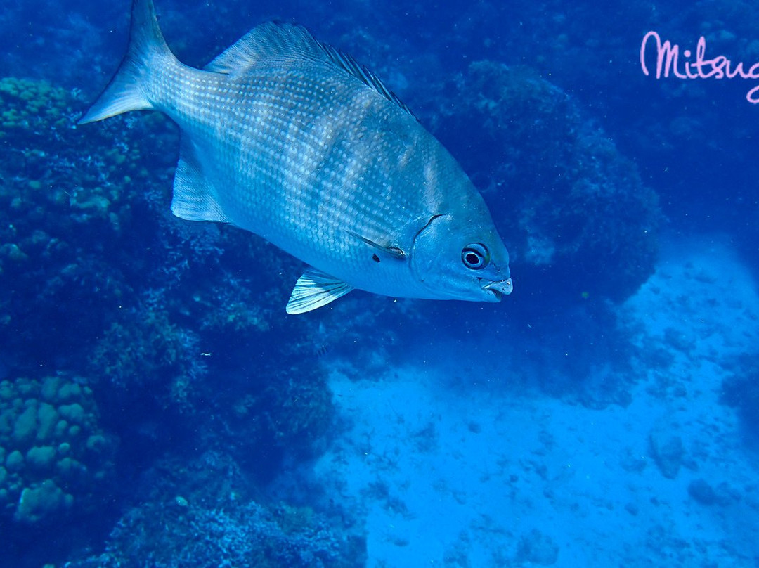 Columbia Reef-考祖梅必去景点