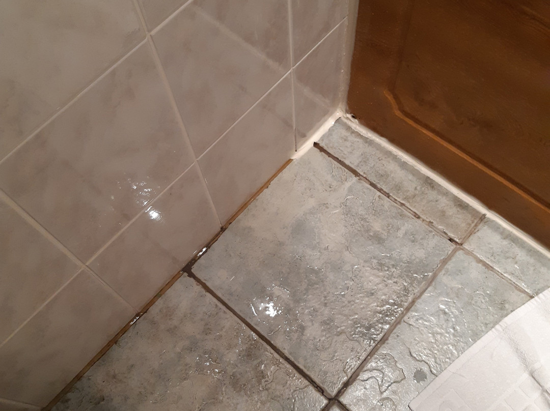 Woodland Manor Hotel主图