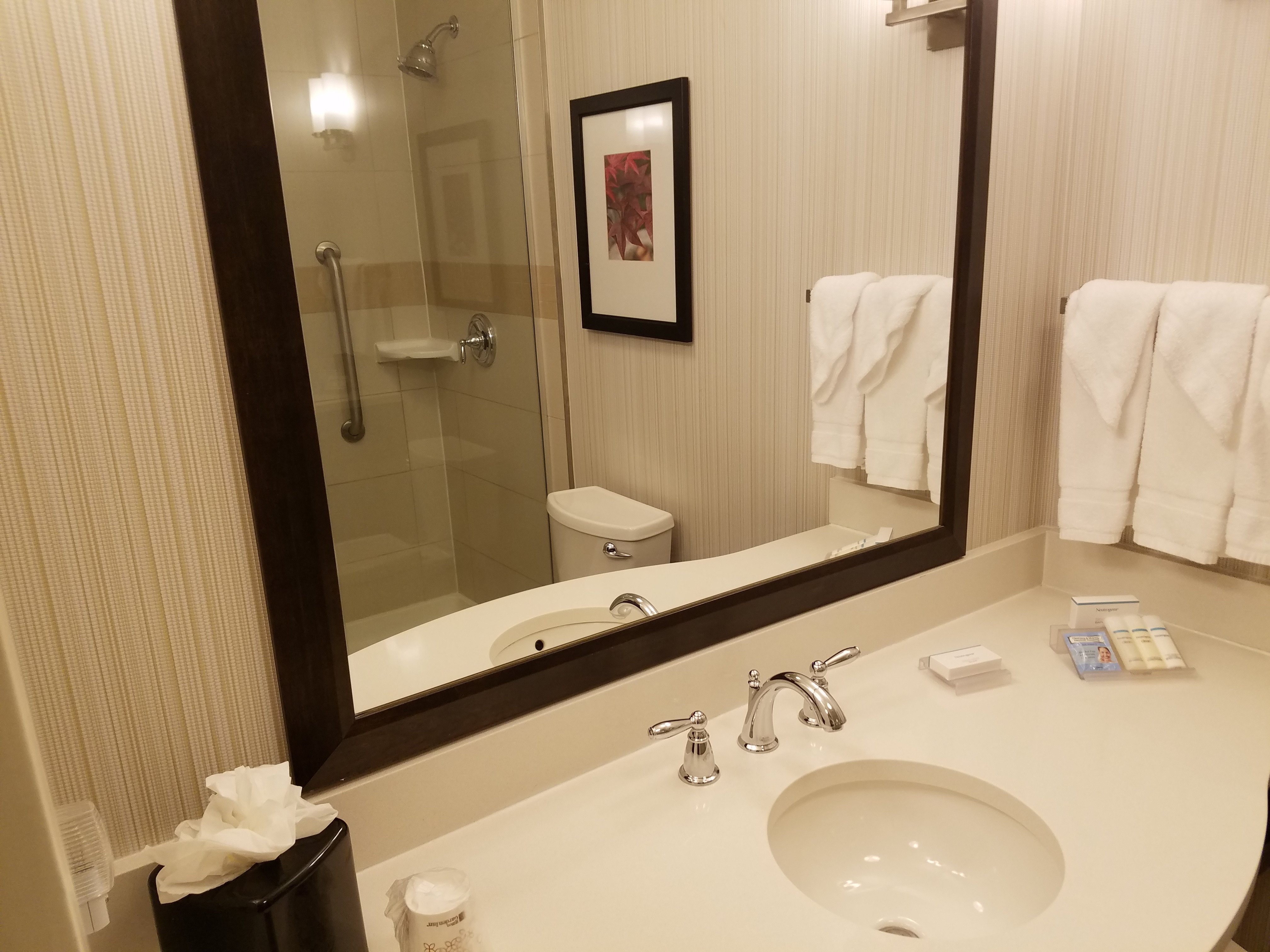 Hilton Garden Inn Auburn-浴室