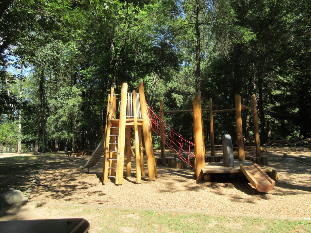 Williams Park-兰里市必去景点