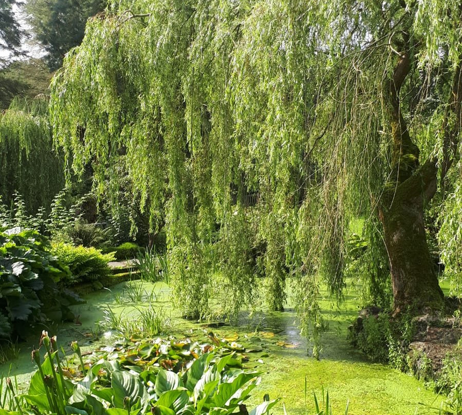 Dunmore Gardens-Carrigans必去景点