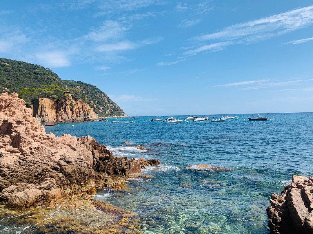 Cala del Senyor Ramon景点图片