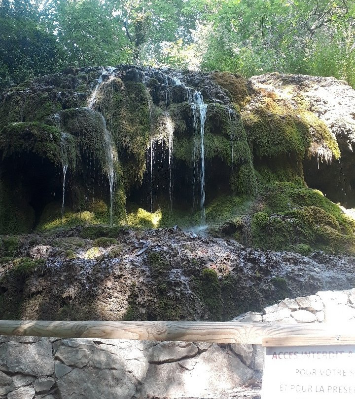 Parc de Saint-Pons景点图片