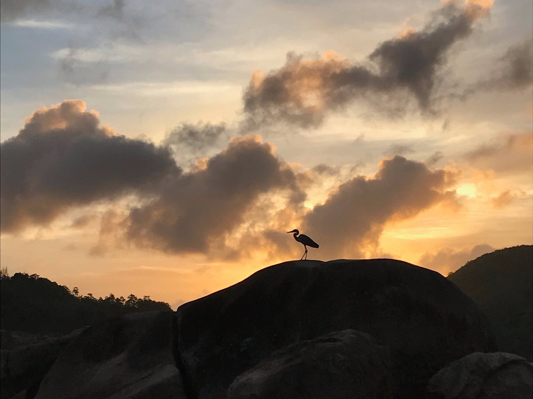 安塞布瓦洛区酒店主图