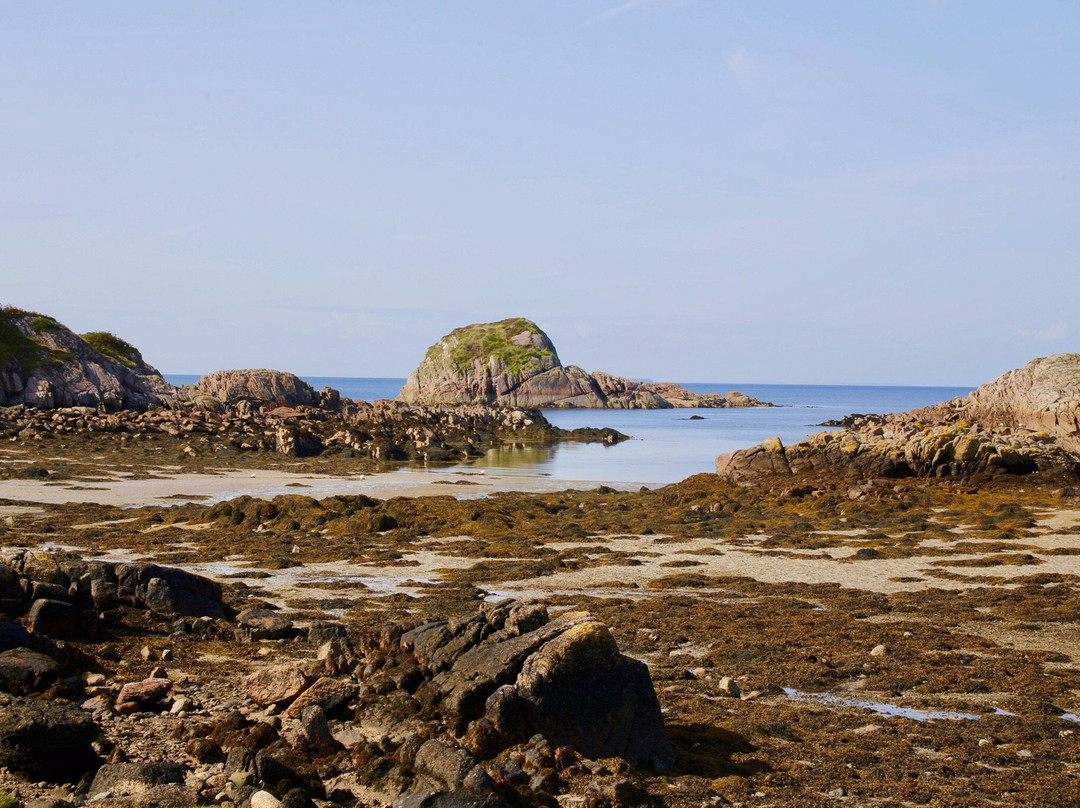 Mull Magic Wildlife - Day Tours-Tobermory必去景点