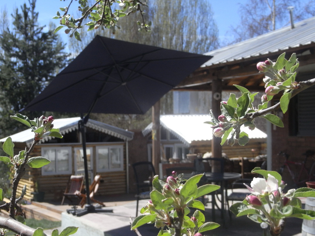 Silver Cord B&B主图