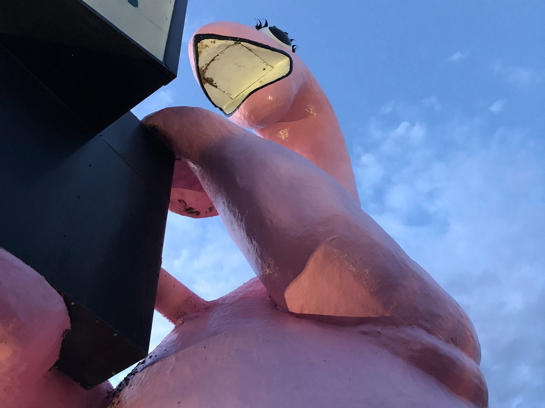 Pink Brontosaurus-Vernal必去景点