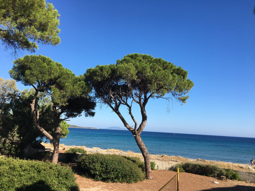 Marathon Beach-Nea Makri必去景点