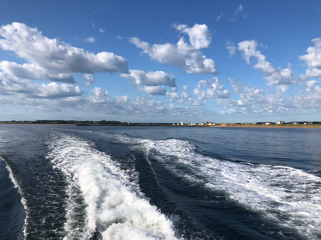 Bob's Deep Sea Fishing-North Rustico必去景点