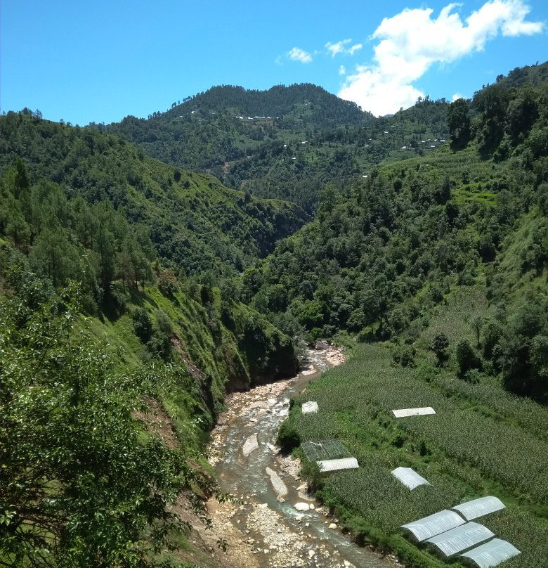 Sabina's Homestay主图