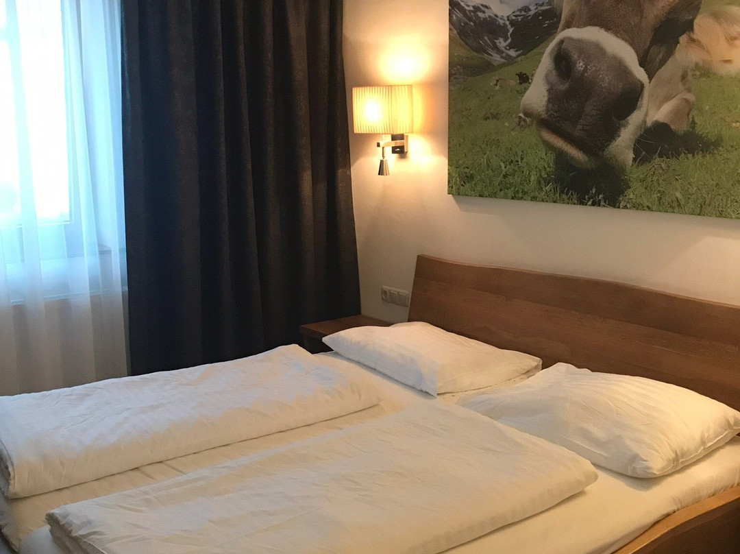 Hotel Wildschütz Basic主图