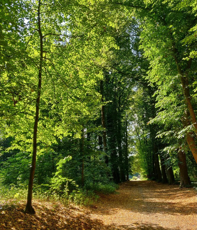 Landgoed Mariendaal-Oosterbeek必去景点