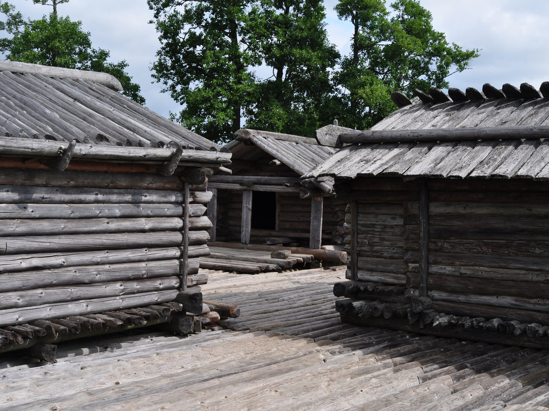 Araisi Lake Dwelling Site-Cesis必去景点